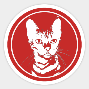 Mr. Miau Sticker